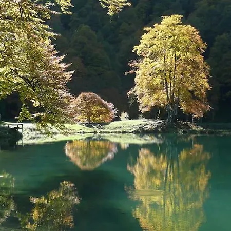 Apartamento Appt2 Grand-hotel: Nature, Randos & Thermes Aulus-les-Bains